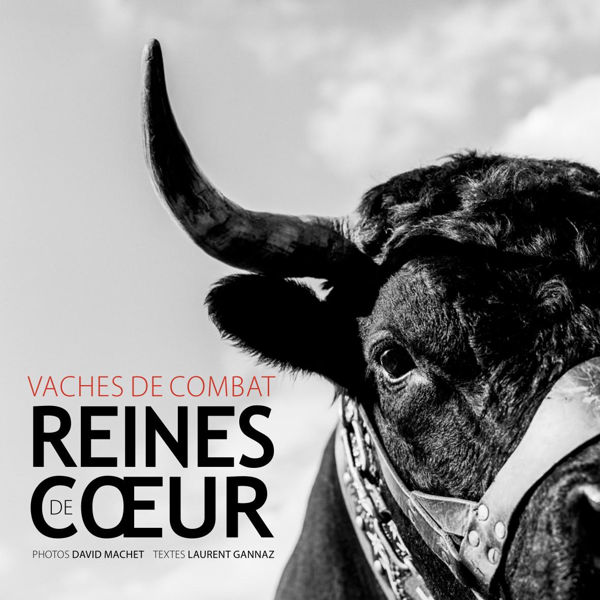 Couv reines bd 1