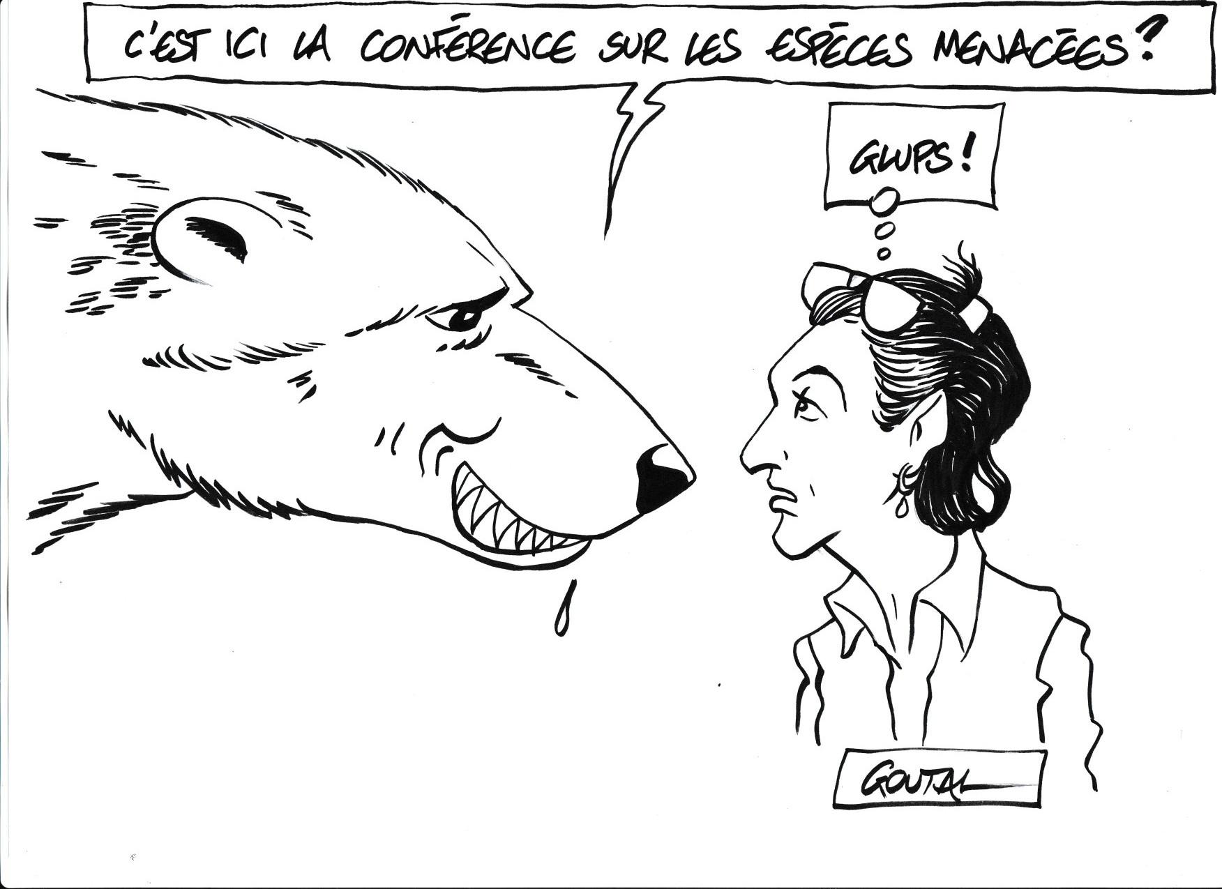 Musee de la pente rencontres combloranes 2023 especes menacees dessin 1