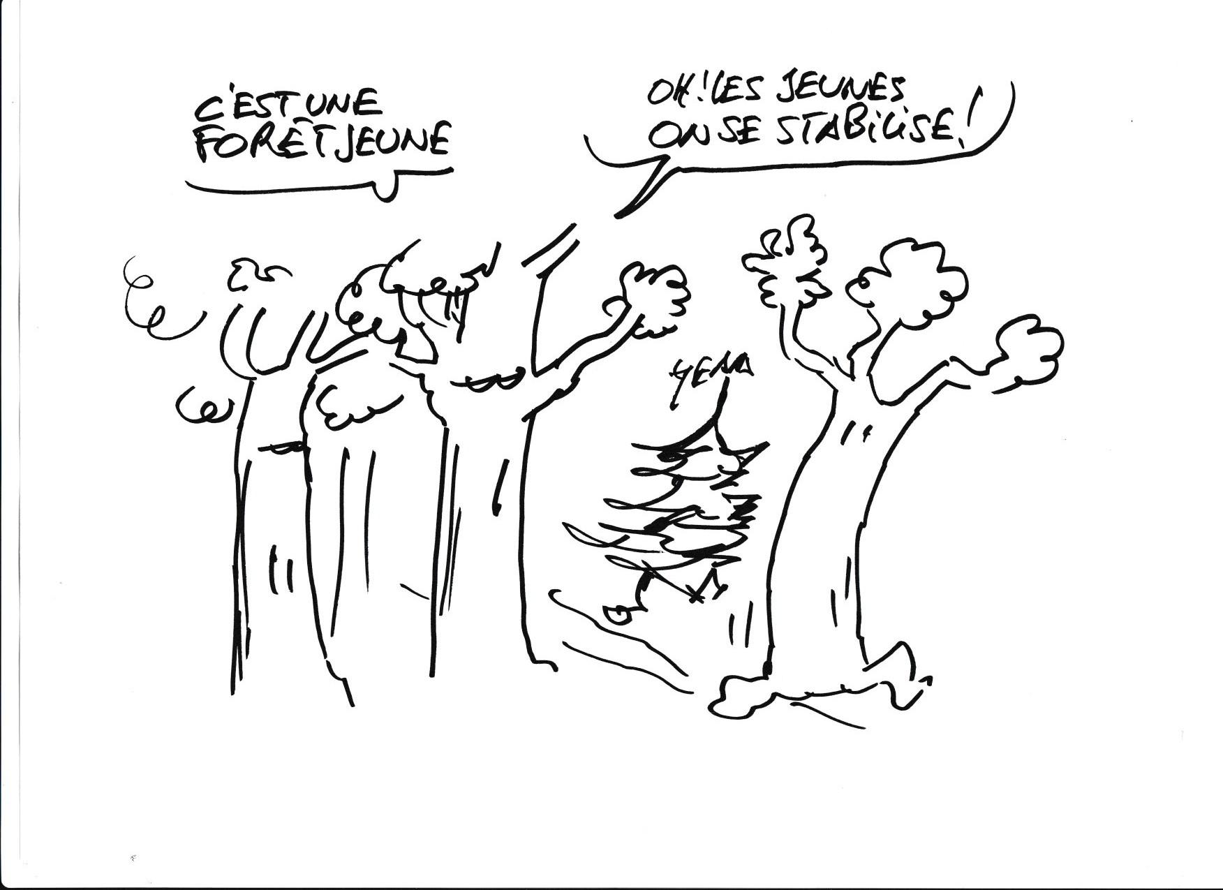Musee de la pente rencontres combloranes 2023 especes menacees dessin 11