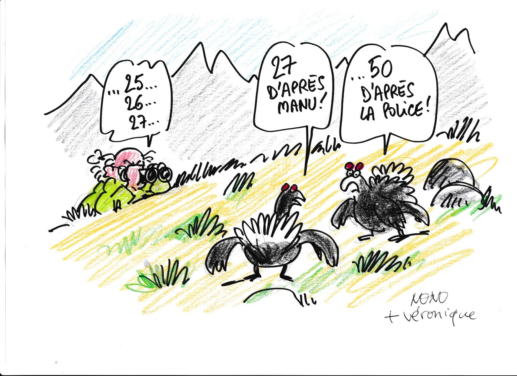 Musee de la pente rencontres combloranes 2023 especes menacees dessin 2