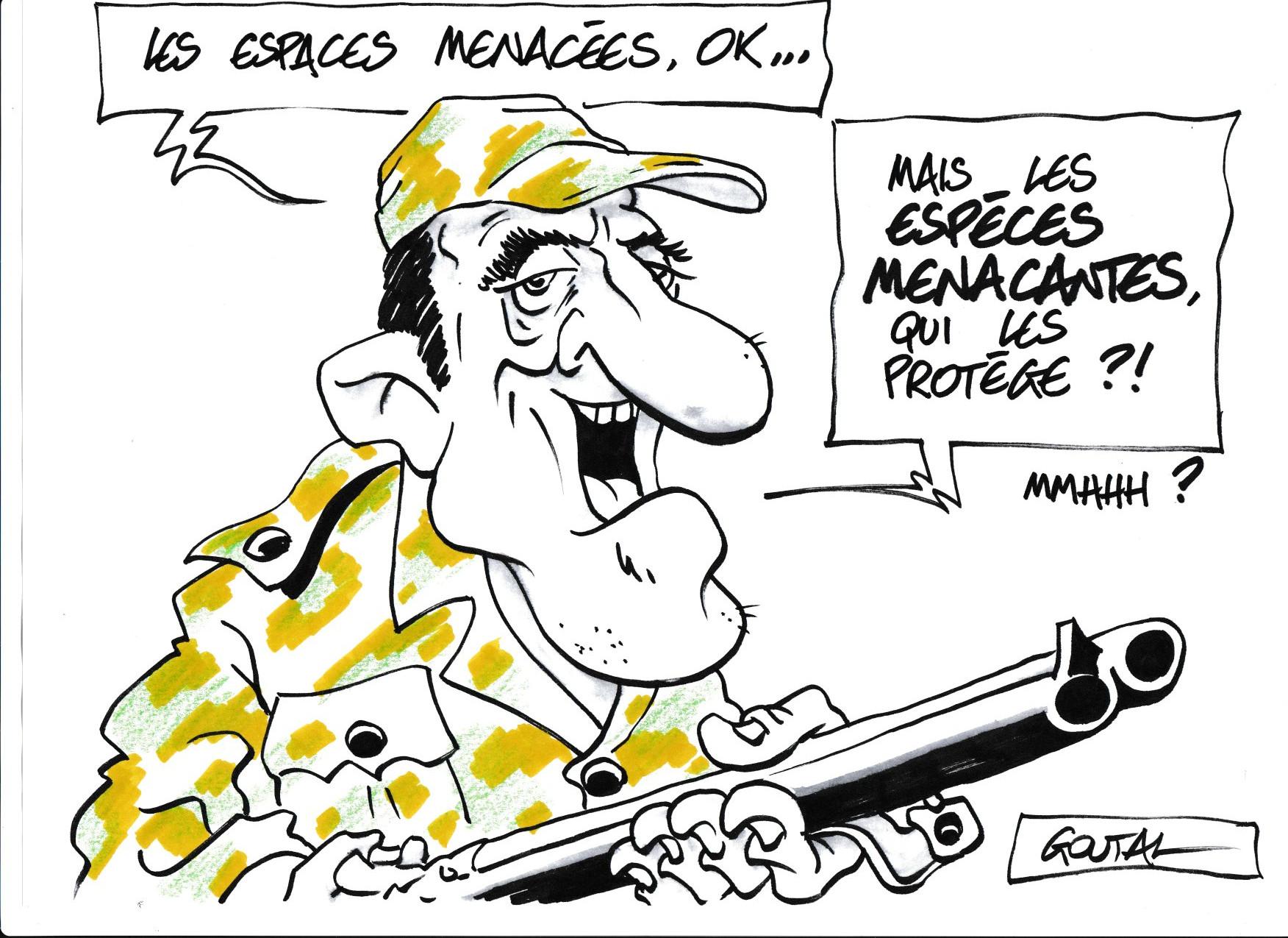 Musee de la pente rencontres combloranes 2023 especes menacees dessin 3