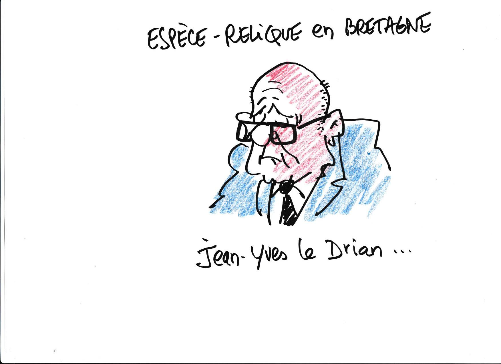 Musee de la pente rencontres combloranes 2023 especes menacees dessin 6