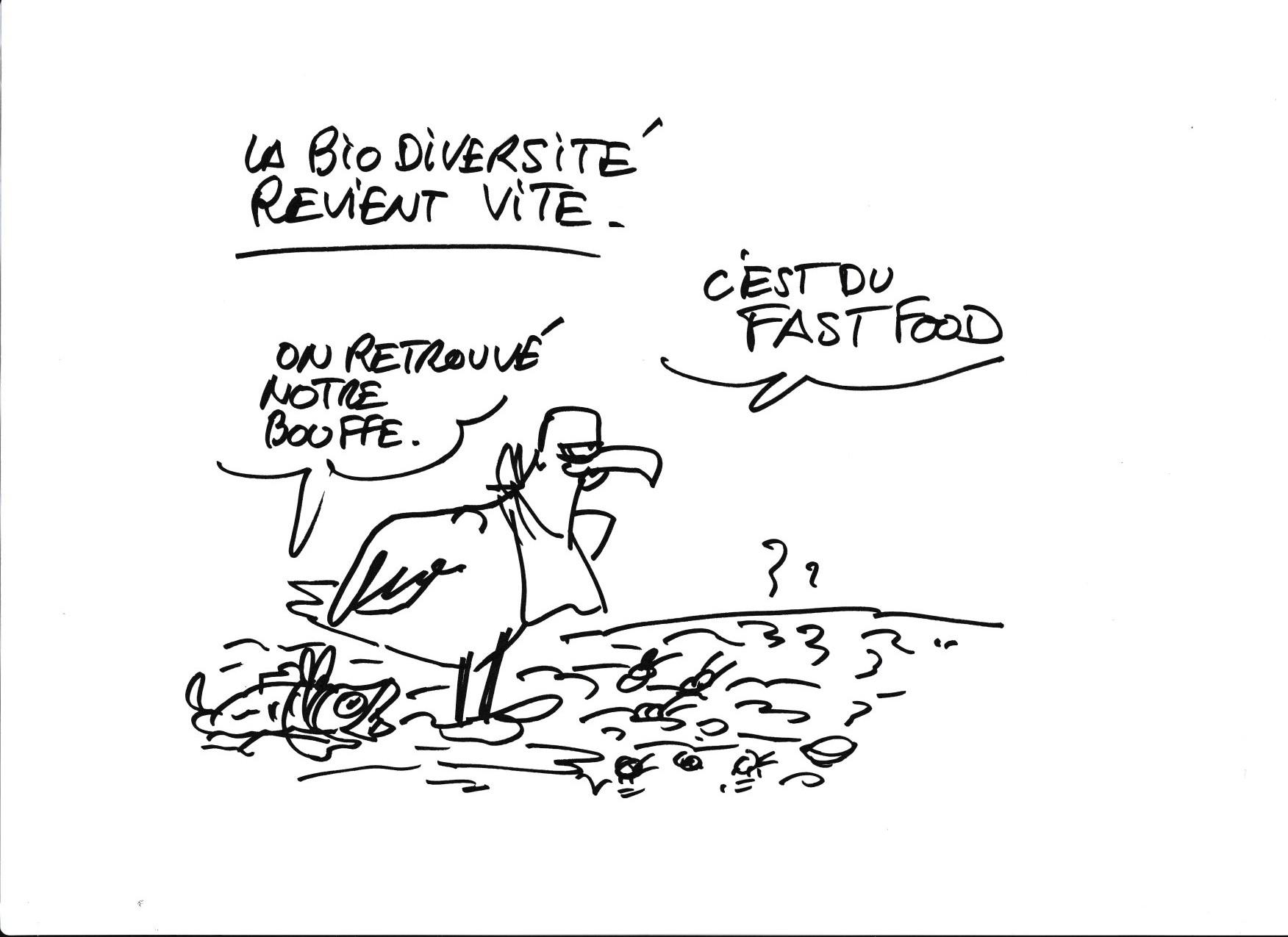 Musee de la pente rencontres combloranes 2023 especes menacees dessin 7