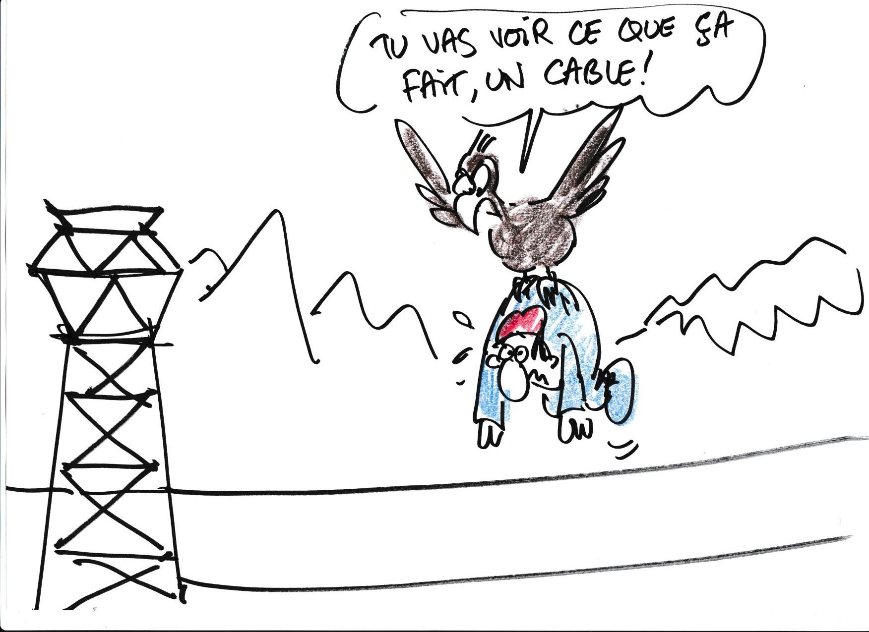 Musee de la pente rencontres combloranes 2023 especes menacees dessin 9