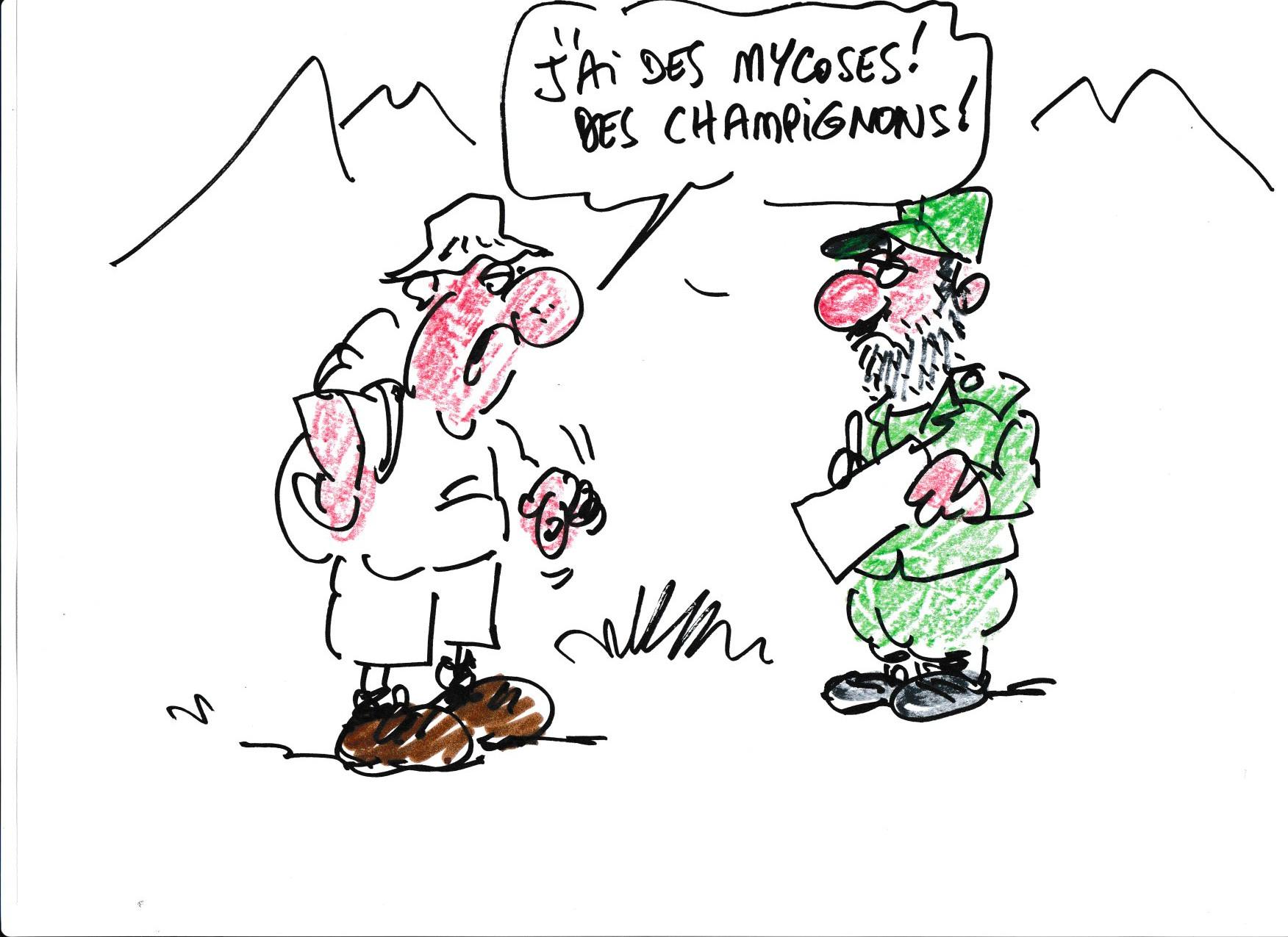 Musee de la pente rencontres combloranes 2023 tourbieres et zones humides dessin 8