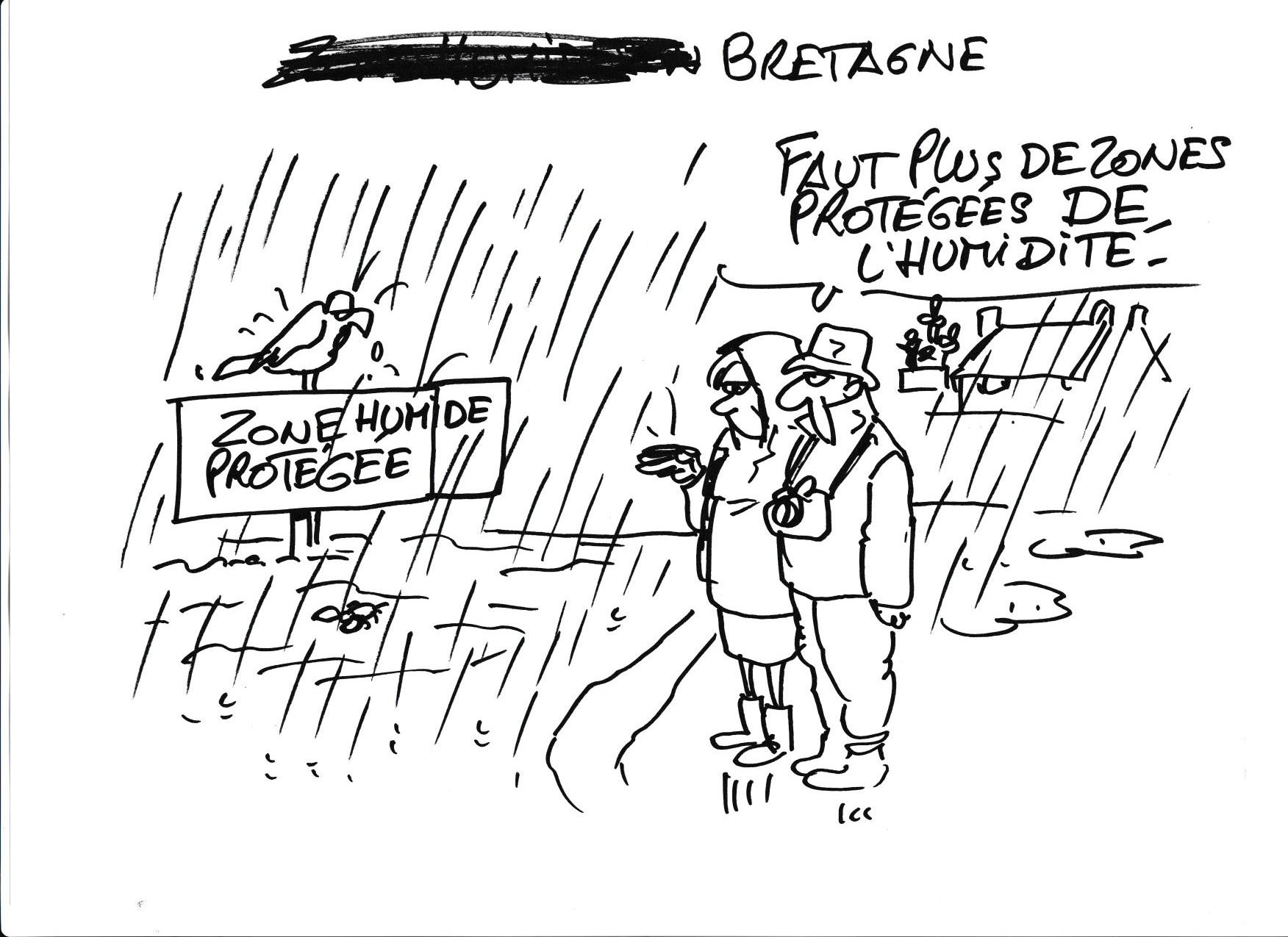 Musee de la pente rencontres combloranes 2023 tourbieres et zones humides dessin 9