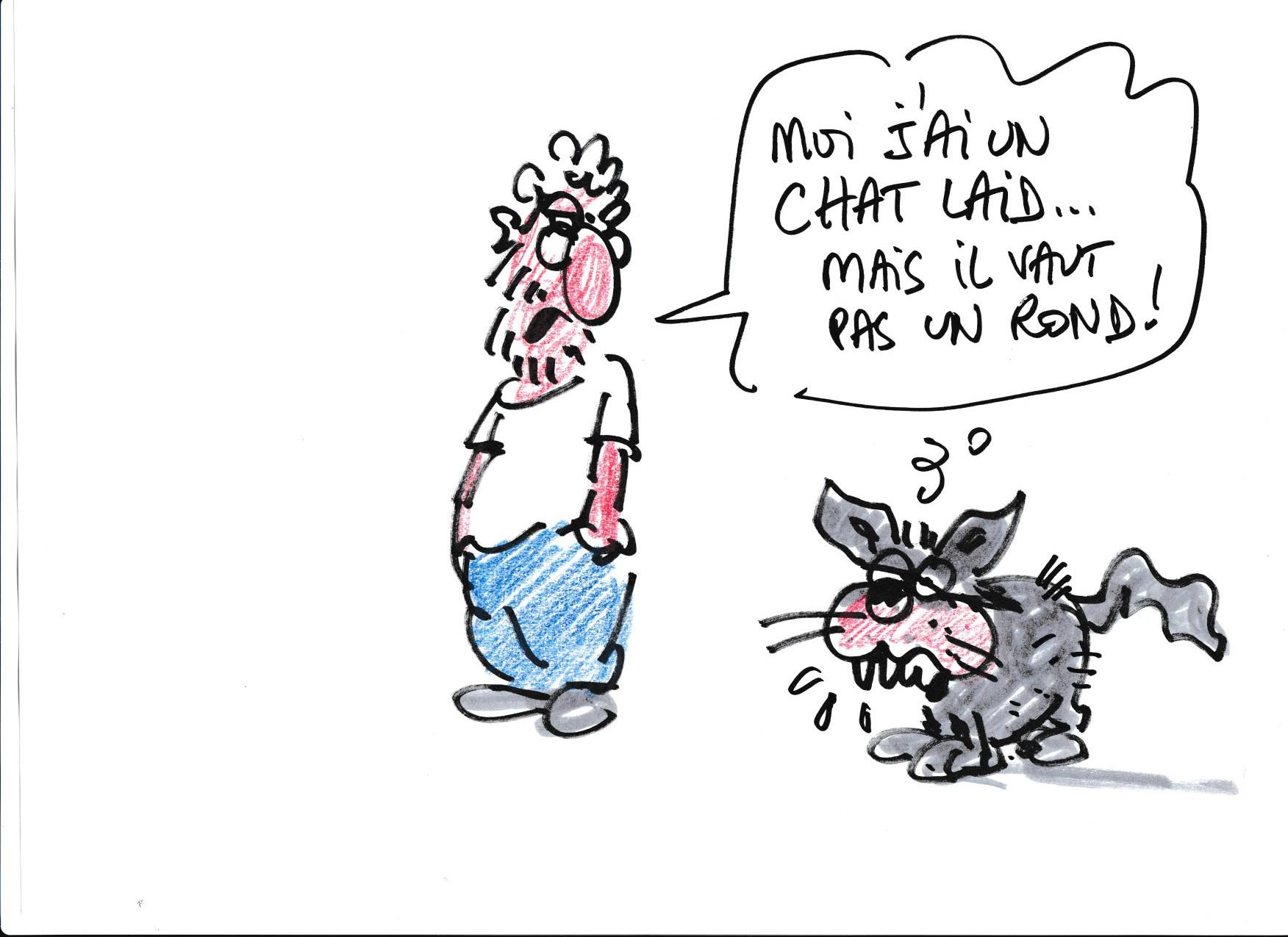 Musee de la pente rencontres combloranes 2023 urbanisme et preservation dessin 8