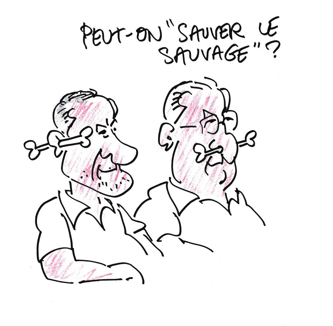 Musee de la pente rencontres combloranes dessin nono sauver le sauvage 1