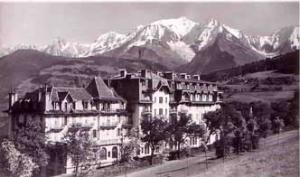 Phto plm avec mt blanc en fond